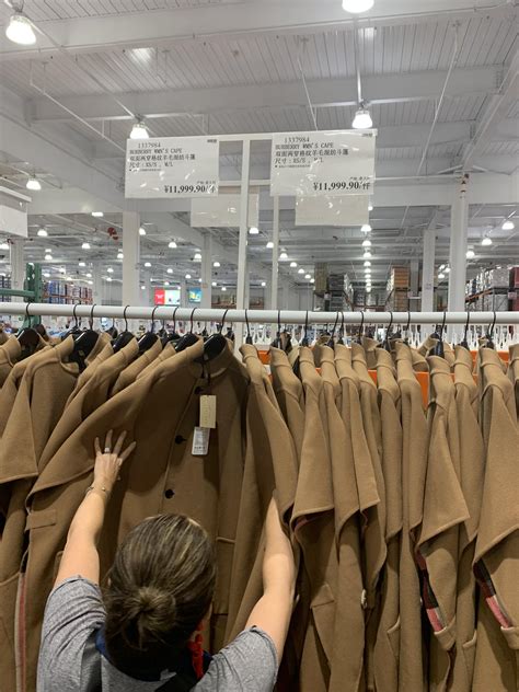 burberry costco